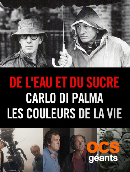 OCS Géants - De l'eau et du sucre : Carlo Di Palma, les couleurs de la vie
