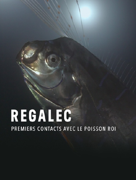 Régalec, premiers contacts avec le poisson roi