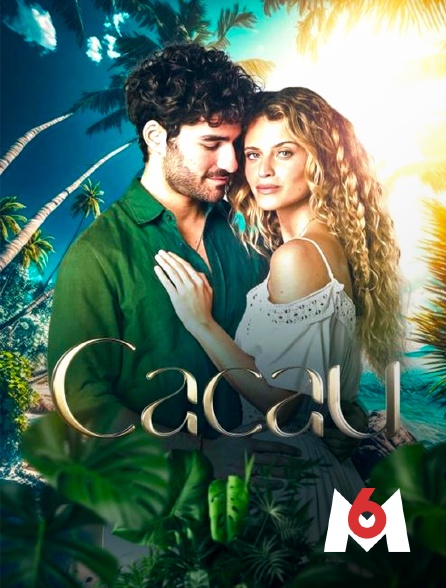 M6 - Cacau