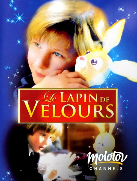 Mango - Le lapin de velours