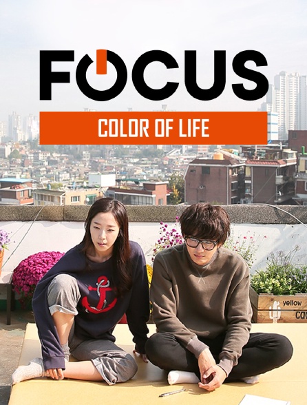 Focus - Color Of Life