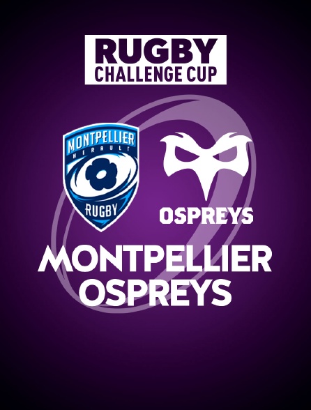 Rugby - Challenge Cup : Montpellier / Ospreys
