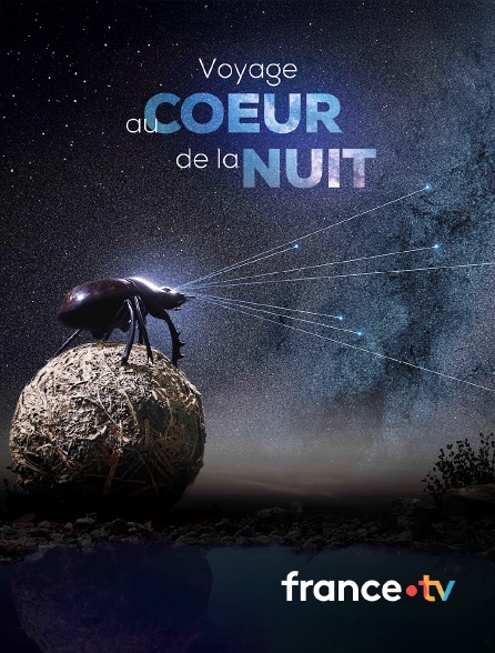 france.tv - Voyage au coeur de la nuit
