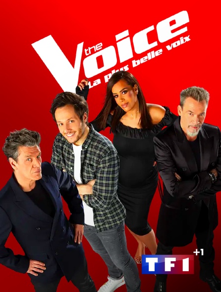 TF1+1 - The Voice, la plus belle voix