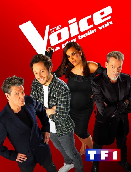 TF1 - The Voice, la plus belle voix