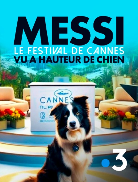 France 3 - Messi : le Festival de Cannes vu à hauteur de chien