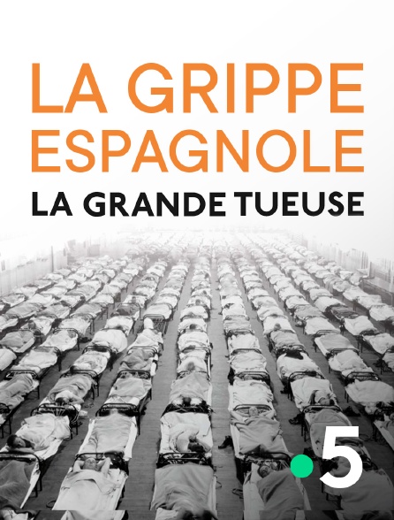 France 5 - La grippe espagnole, la grande tueuse