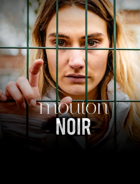 Mouton noir