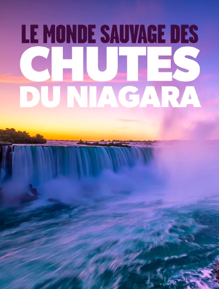 Le monde sauvage des chutes du Niagara