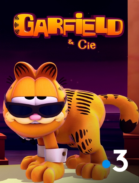 France 3 - Garfield & Cie