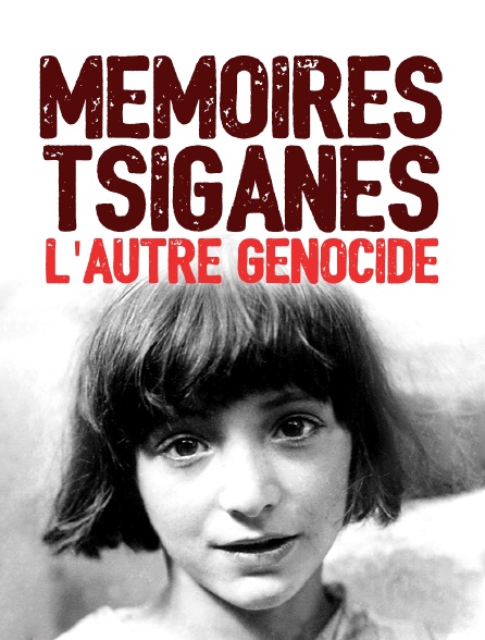 Mémoires tsiganes, l'autre génocide