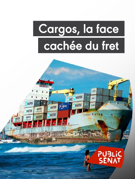 Public Sénat - Cargos, la face cachée du fret