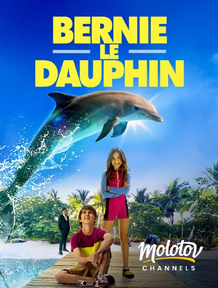 Molotov channels - Bernie le dauphin