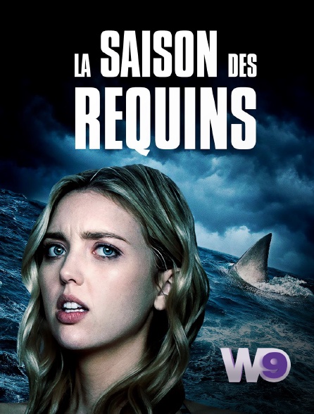 W9 - La saison des requins en replay