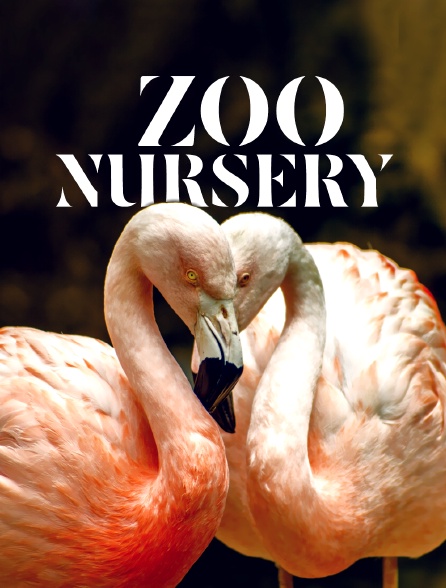 Zoo nursery