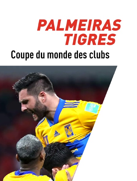 Football : FIFA Coupe du monde des clubs : Palmeiras / Tigres