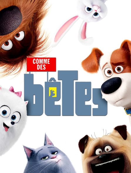 Comme des bêtes