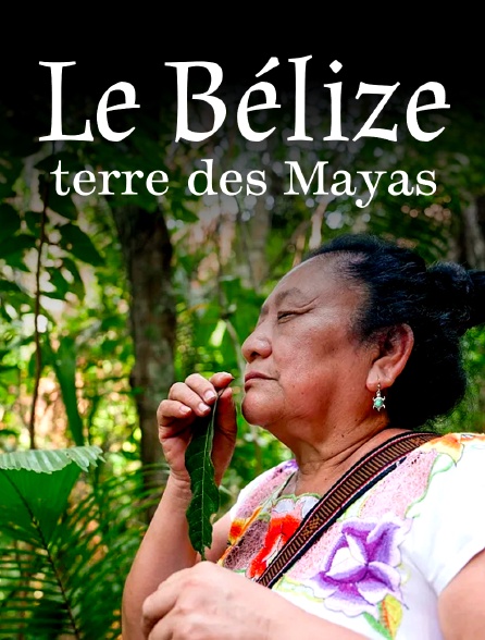 Le Belize, terre des Mayas