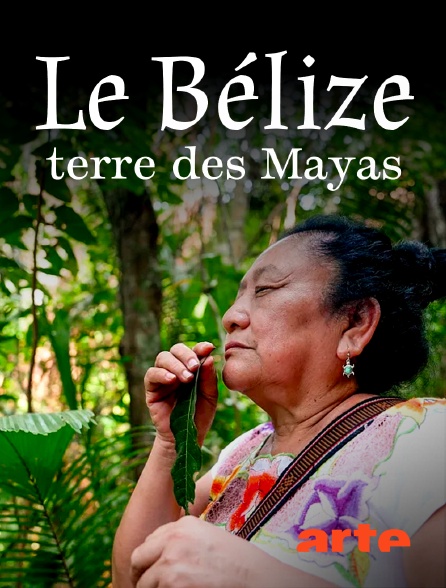 Arte - Le Belize, terre des Mayas