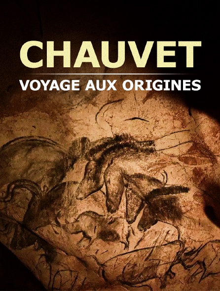 Chauvet, voyage aux origines