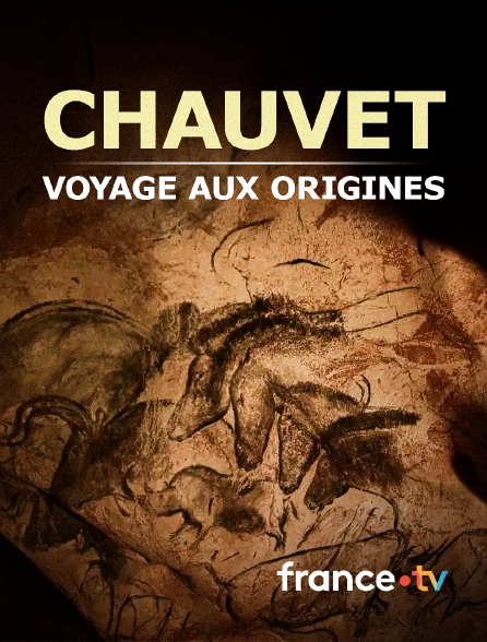 france.tv - Chauvet, voyage aux origines