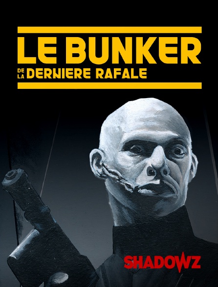 Shadowz - Le bunker de la dernière rafale