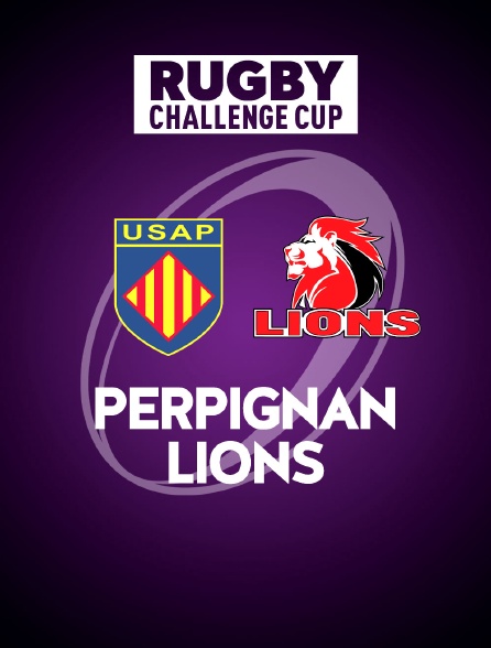 Rugby - Challenge Cup : Perpignan / Lions