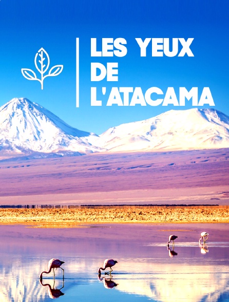 Les yeux de l'Atacama