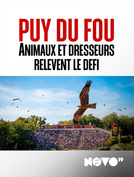 NOVO19 - Puy du Fou : animaux et dresseurs relèvent le défi
