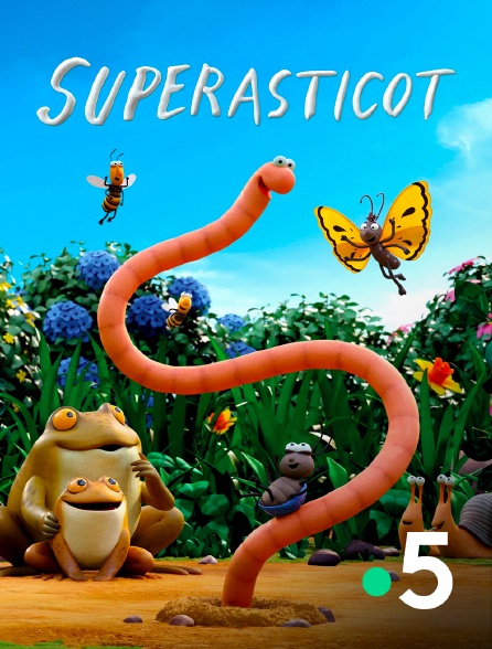 France 5 - Superasticot