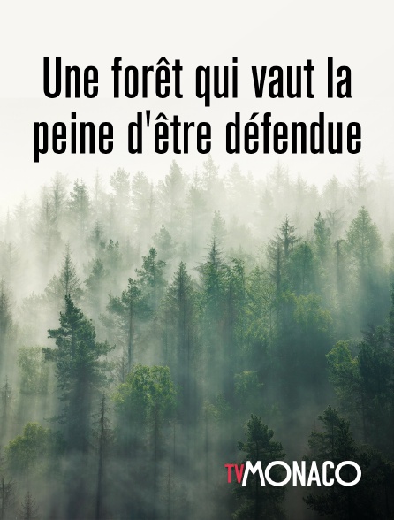 TV Monaco - Une forêt qui vaut la peine d'être défendue