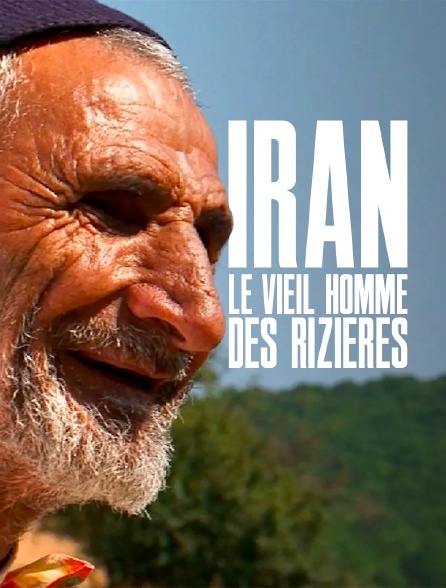 Iran, le vieil homme des rizières