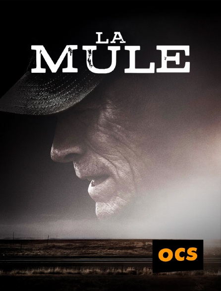 OCS - La mule