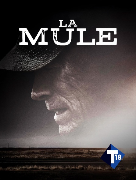 T18 - La mule