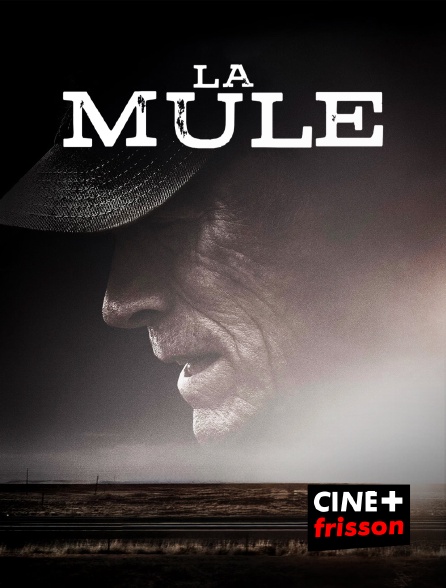 CINE+ Frisson - La mule