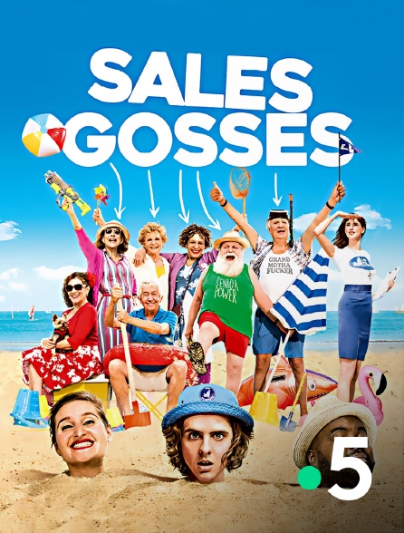 France 5 - Sales gosses