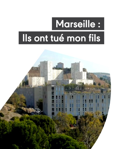 Marseille : ils ont tué mon fils