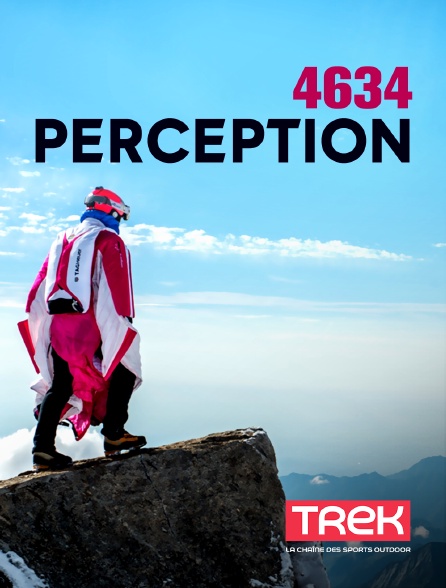 Trek - 4634 perception