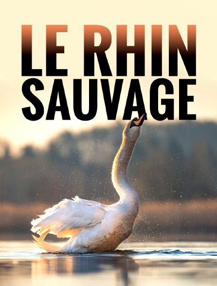 Le Rhin sauvage