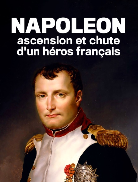 Napoléon : ascension et chute d'un héros français