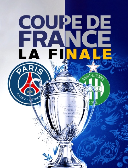 Football : Coupe de France - Paris-SG / Saint-Etienne