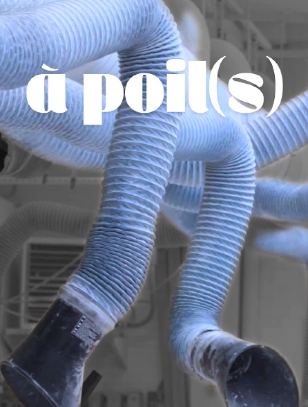 A poils