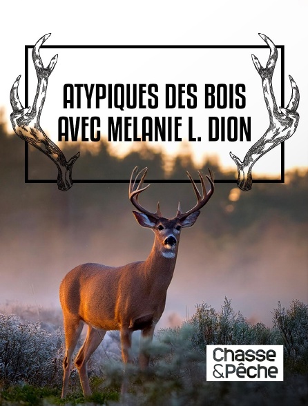 Chasse et pêche - Atypiques des bois avec Mélanie L. Dion