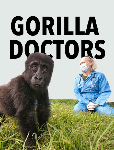 Gorilla Doctors