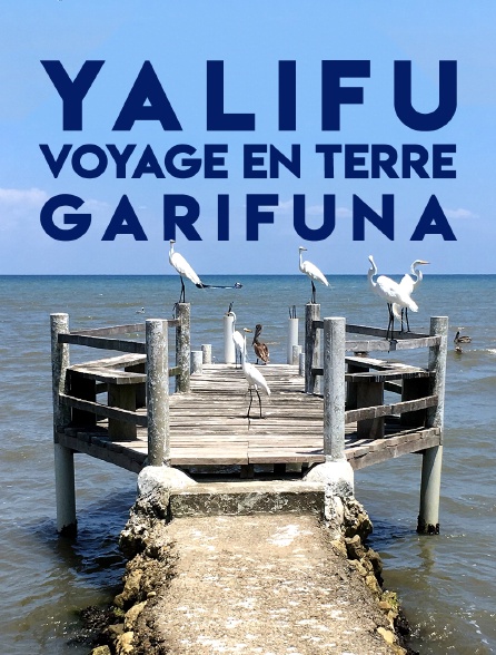 Yalifu, voyage en terre Garifuna