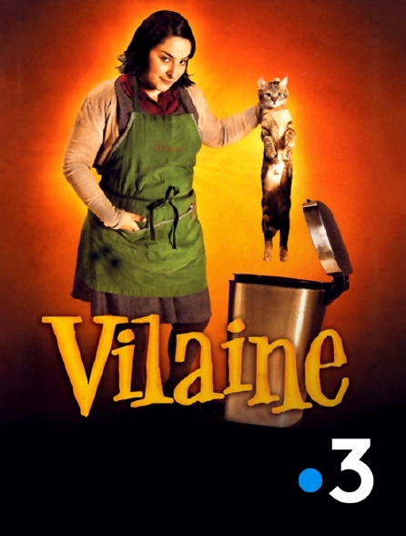 France 3 - Vilaine