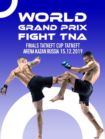 World Grand Prix Fight TNA, finals, TATNEFT CUP, Tatneft Arena, Kazan, Russia, 15.12.2019