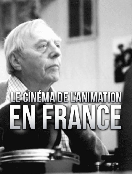 Le cinéma d'animation en France
