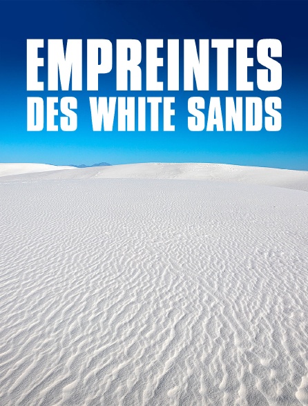 Empreintes des White Sands : Sur les traces des premiers Américains