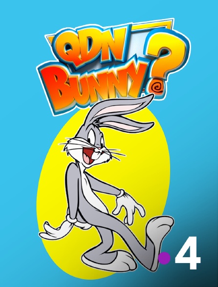 France 4 - Quoi de neuf Bunny ?